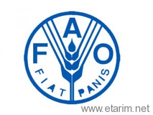 FAO İstatistik