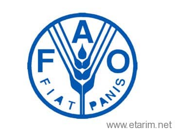FAO İstatistik