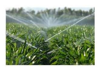 tarımda suyun kullanımı