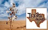 Teksas’ta Süren Kuraklık Üretim Potansiyelini Etkiliyor