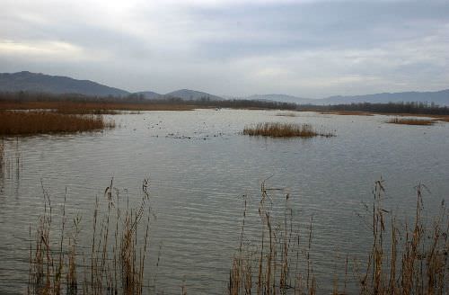 Efteni Gölü Olta Balıkçılığına Açıldı