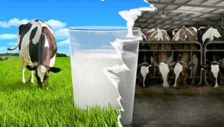 'Ulusal Süt Kayıt Sistemi' yanıltıldı