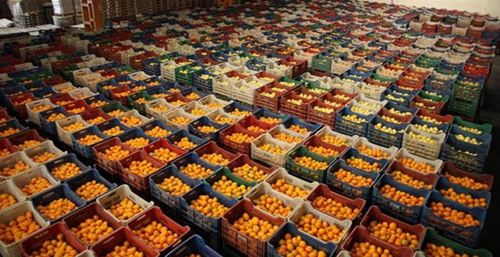 Rus ambargosu kalktı, sebze meyve ihracatı yüzde 30 arttı