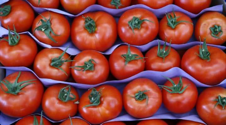 Suriye'ye domates ihracatı yüzde 4431 arttı