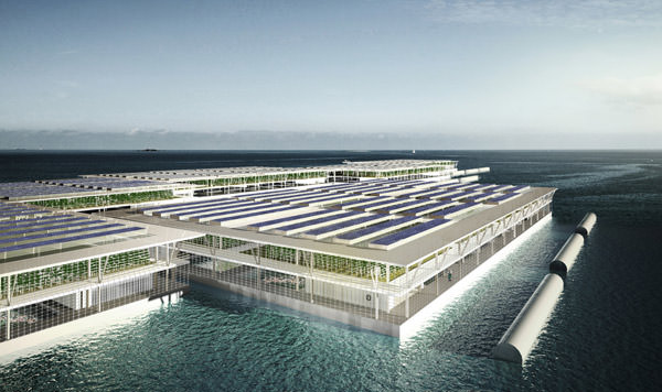 Dünyanın ilk: 'yüzen çiftlikler' Hollanda'da kuruluyor