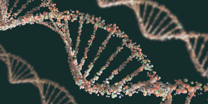 Bilim İnsanları İlk Kez Bir İnsanın DNA'sını Düzenleyecek