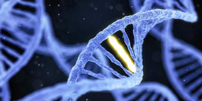 DNA'nın Nasıl 'Düzenlendiği' Canlı Olarak İlk Kez Görüntülendi!