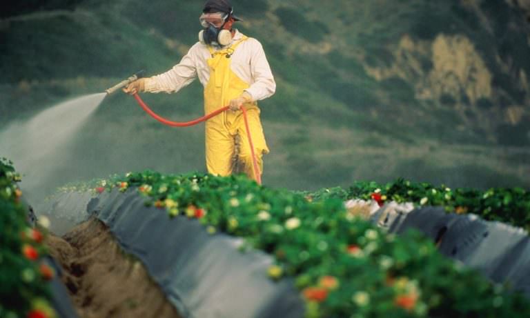 Pestisit Analizinde Maksimum Sınırı Aşan Gıdalar Var