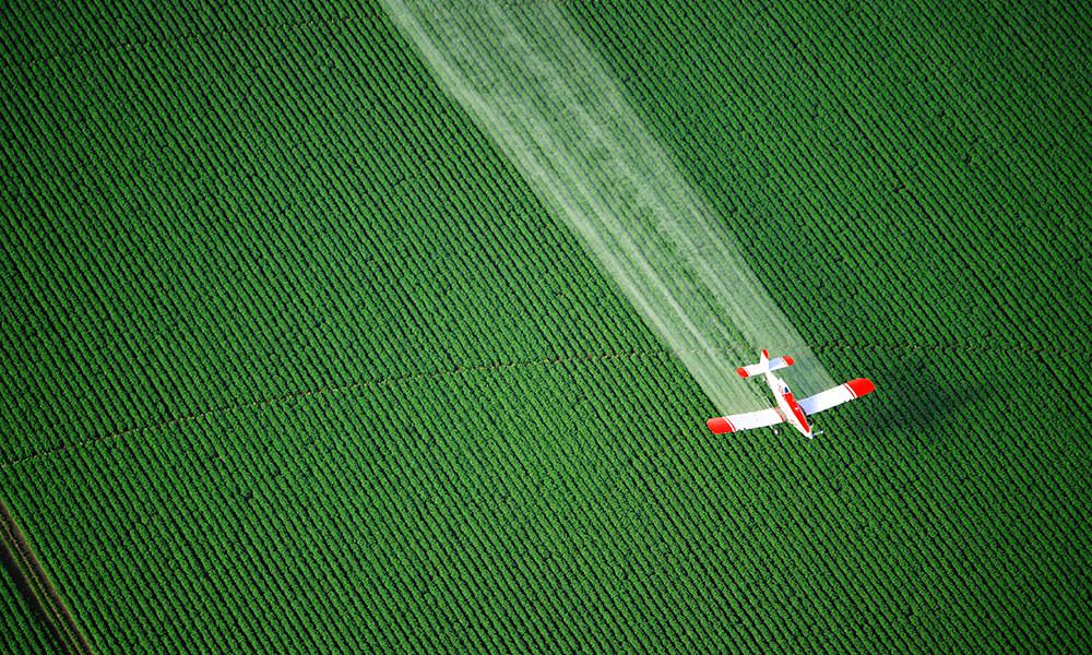 Pestisit Analizinde Maksimum Sınırı Aşan Gıdalar Var