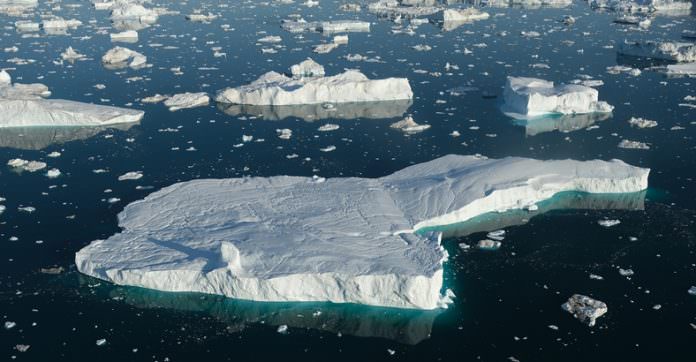 11 Binden Fazla Bilim İnsanı, İklim Değişikliğinin Hepimizi Öldüreceğini Söyledi