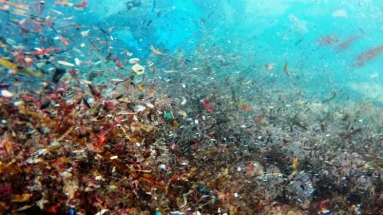 Denizde Görülmüş En Büyük Mikroplastik Yığını Keşfedildi