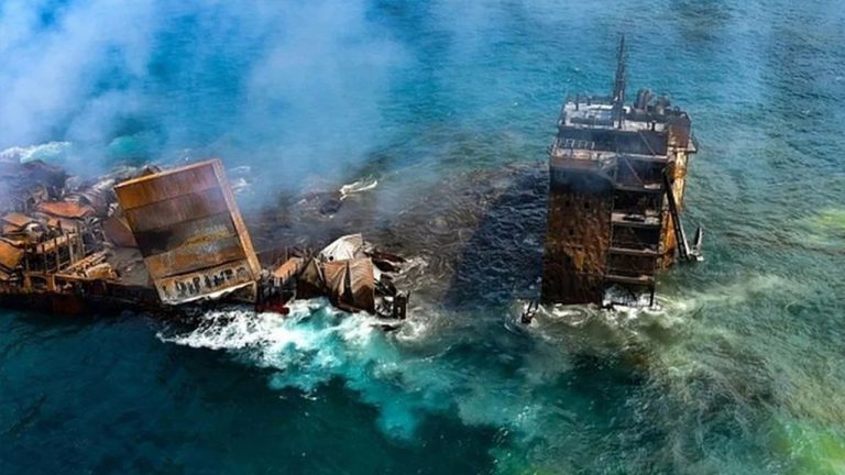Kimyasal Madde Yüklü Gemi Battı, Ölü Hayvanlar Kıyıya Vurdu