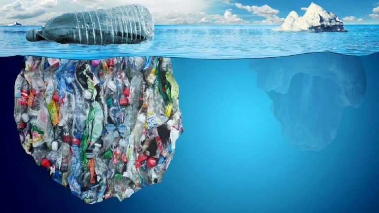 AB, Tek Kullanımlık Plastikleri Yasakladı